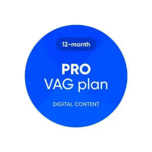 Piano OBDeleven PRO – 12 mesi