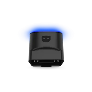 c742fafedba2e96a166dc974f2c7.webp